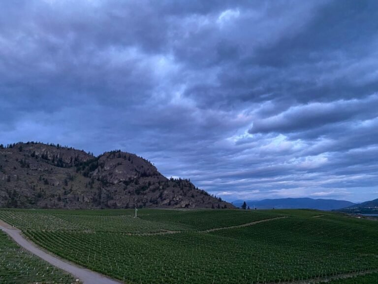 Eat And Drink Your Way Through This Underrated Canadian Wine Region