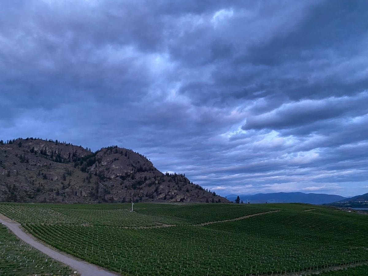 Eat And Drink Your Way Through This Underrated Canadian Wine Region