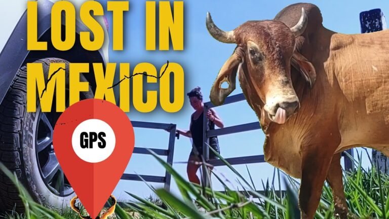 solo travel: Solo Backpacking