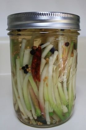 Pickled Ramps, Scallions or Leeks Recipe  - Food.com