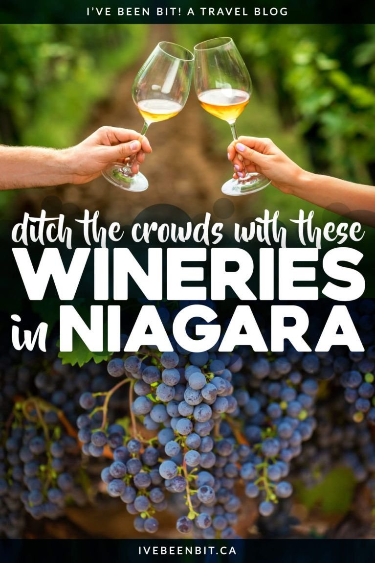 Take a Self-Guided Tour of These Amazing Vineland Wineries