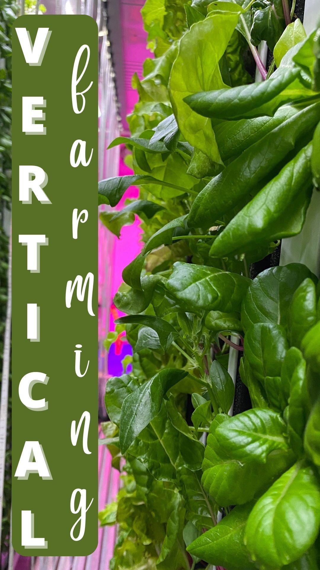 Vertical Farming in Kansas