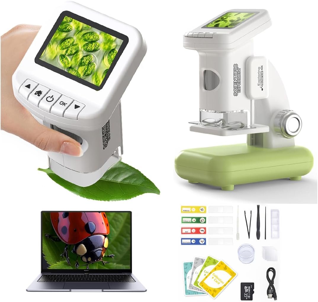 educational magnifying tools