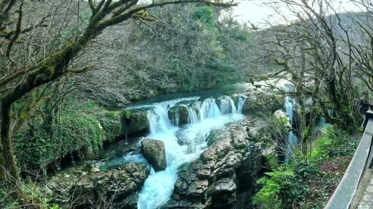 Travel and food travel recommendations