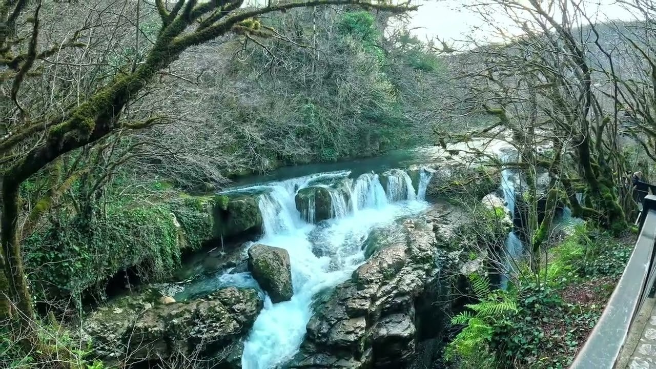 Travel and food travel recommendations