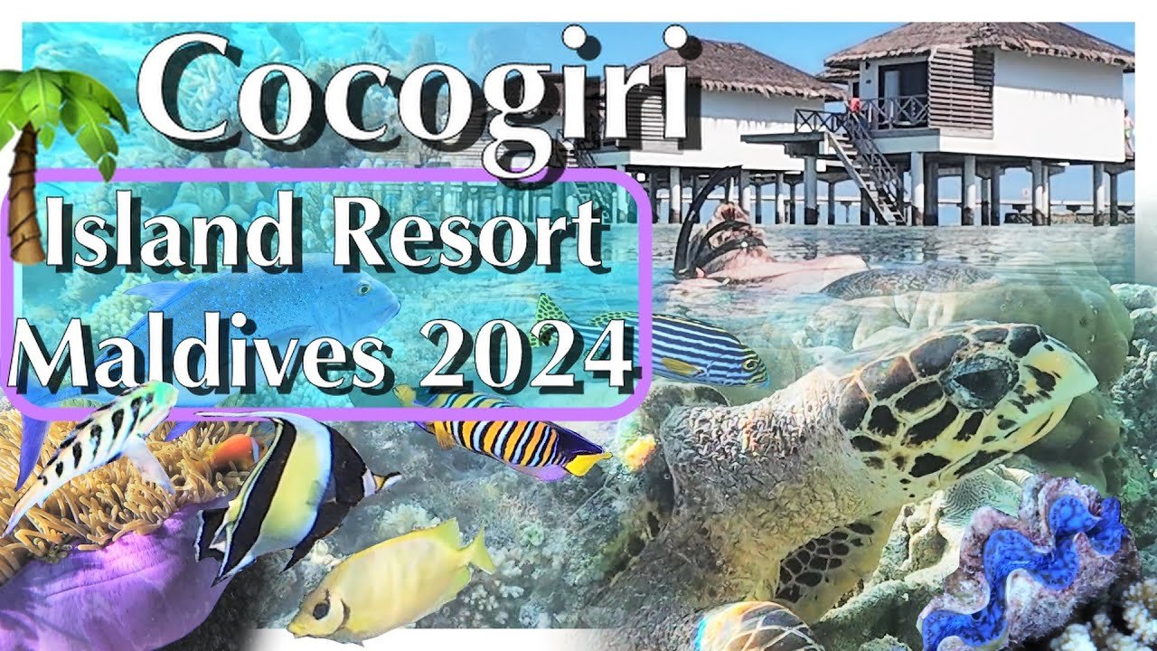 Island travel: Coral Reefs