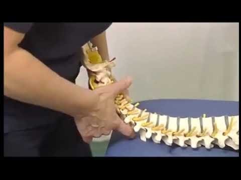 Cervical Spine Health