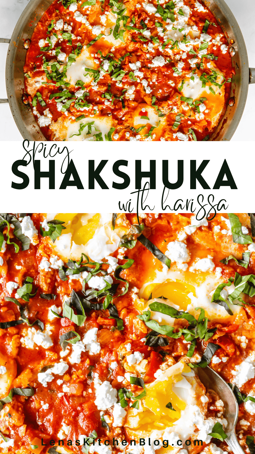 Spicy Shakshuka with Harissa