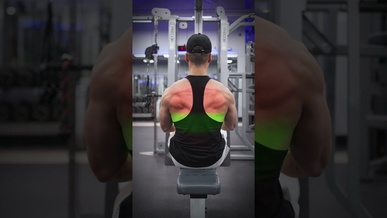 Best Stretches for Back Pain