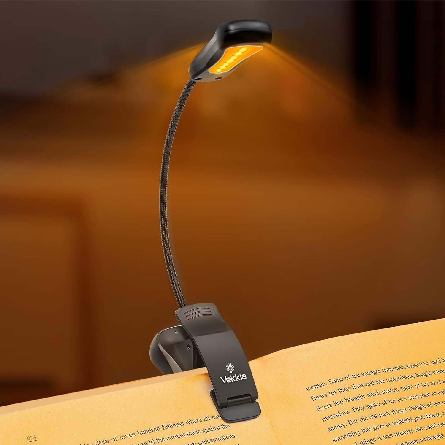 Kindle reading light