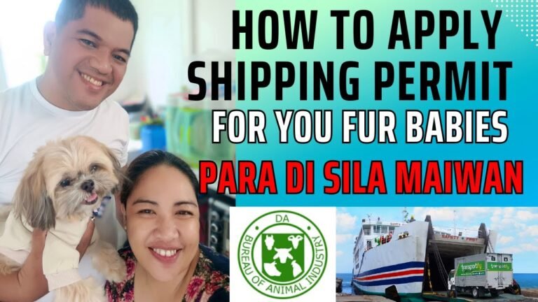 Airplane travel: Pet Travel