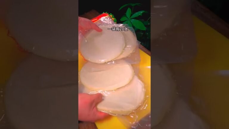 Chinese Food Spring Rolls