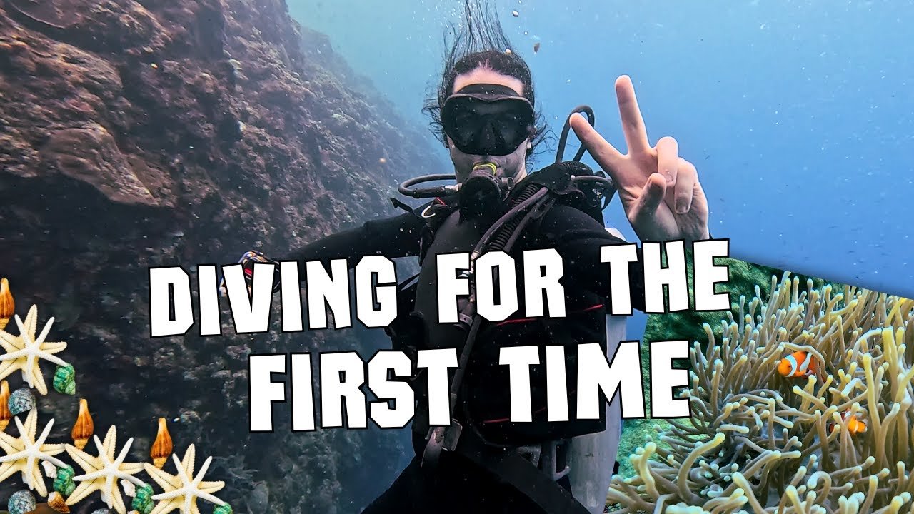 Island travel: Snorkeling Adventures