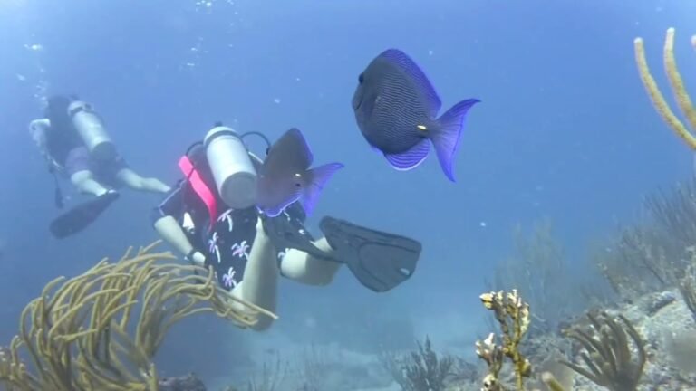 Island travel: Water Sports