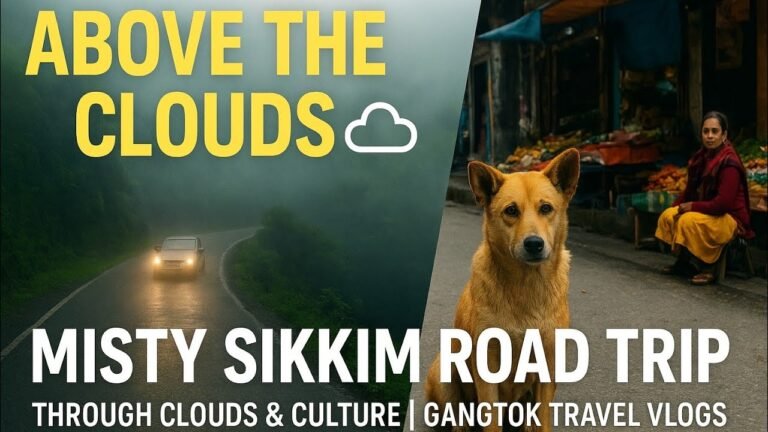 solo travel: Solo Road Trips