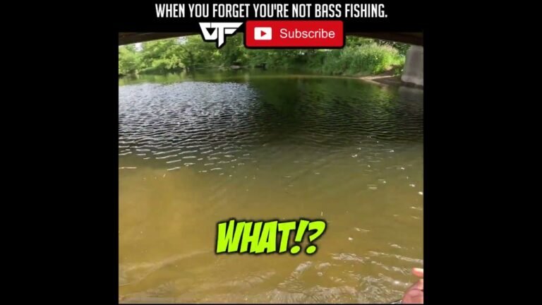 Affordable knee compression sleeves