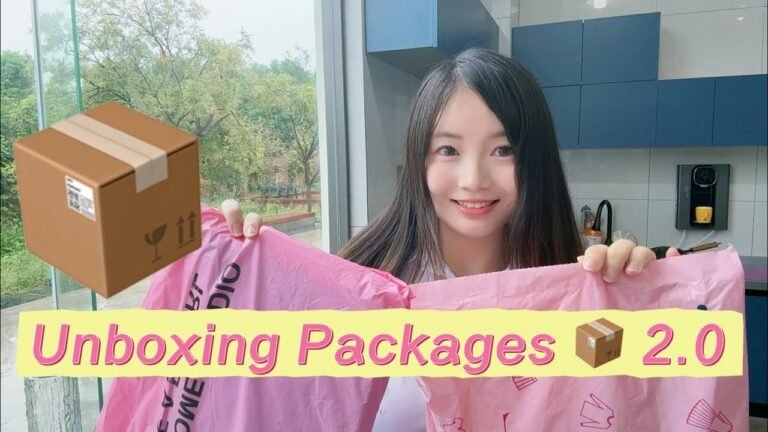 Chinese Food Chinese Fried Noodles