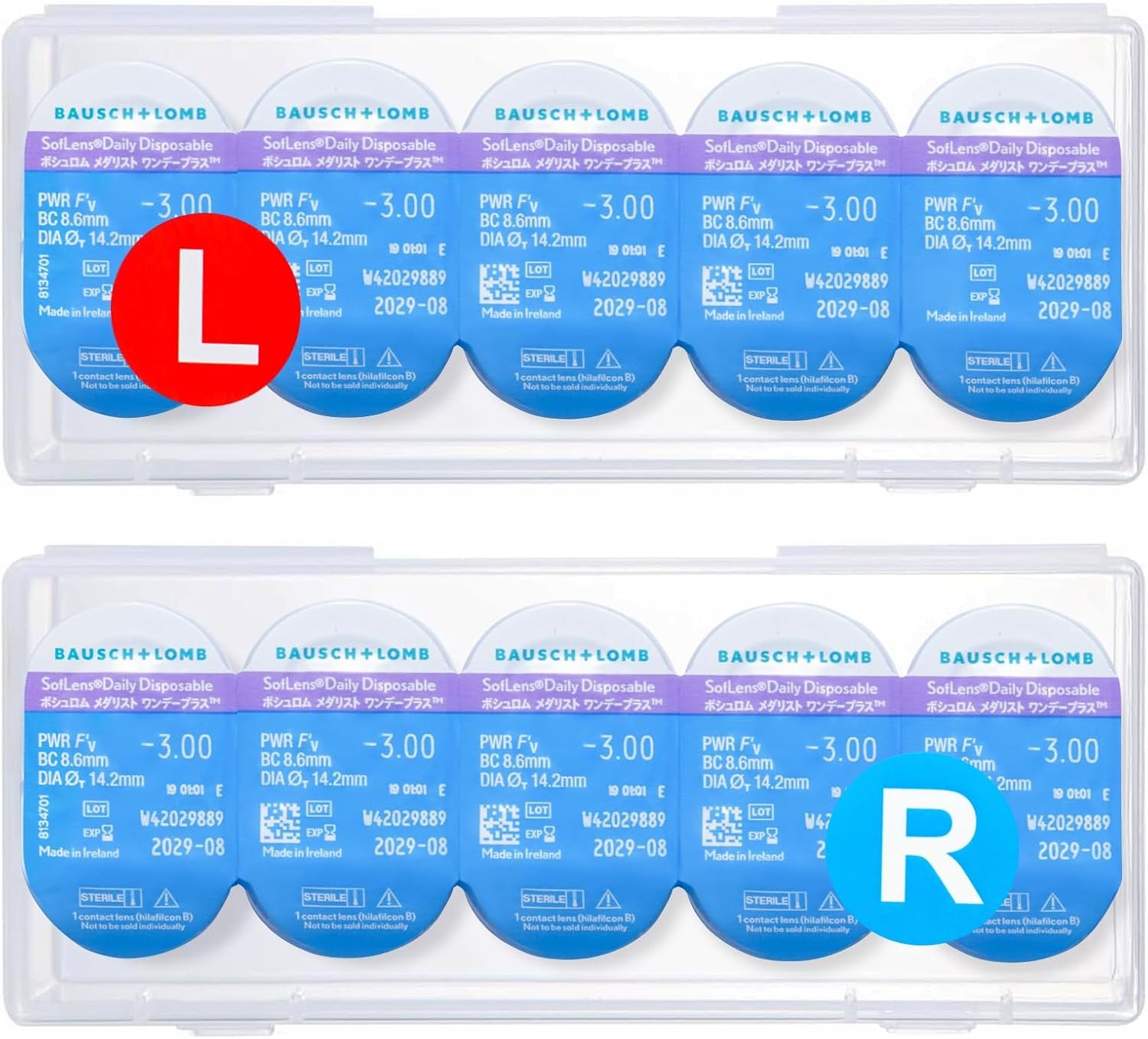 daily disposable contact lenses