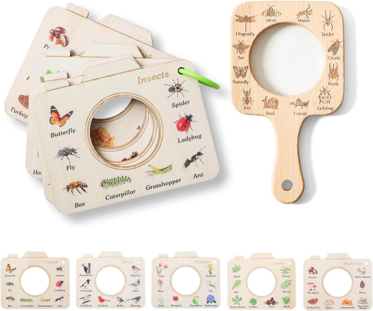 educational magnifying tools