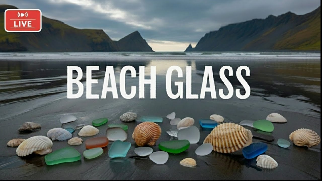 Island travel: Beachcombing