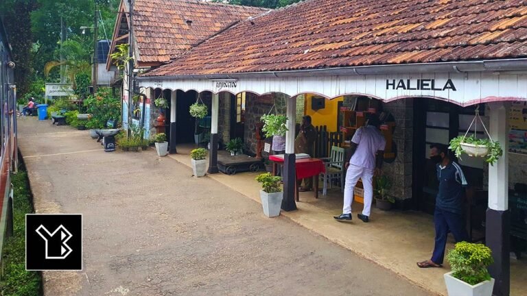 Train travel: Scenic Train Routes