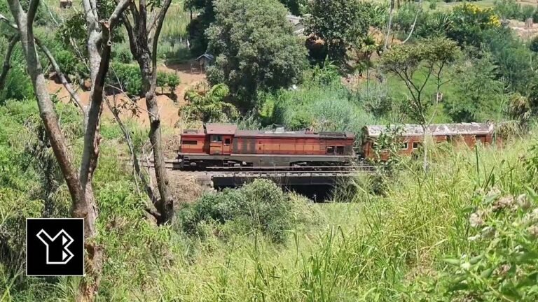 Train travel: Rail Passes