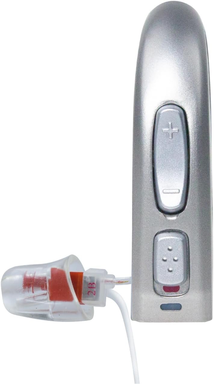 Banglijian Rechargeable Hearing Aid RIC(Receiver in canal) f...