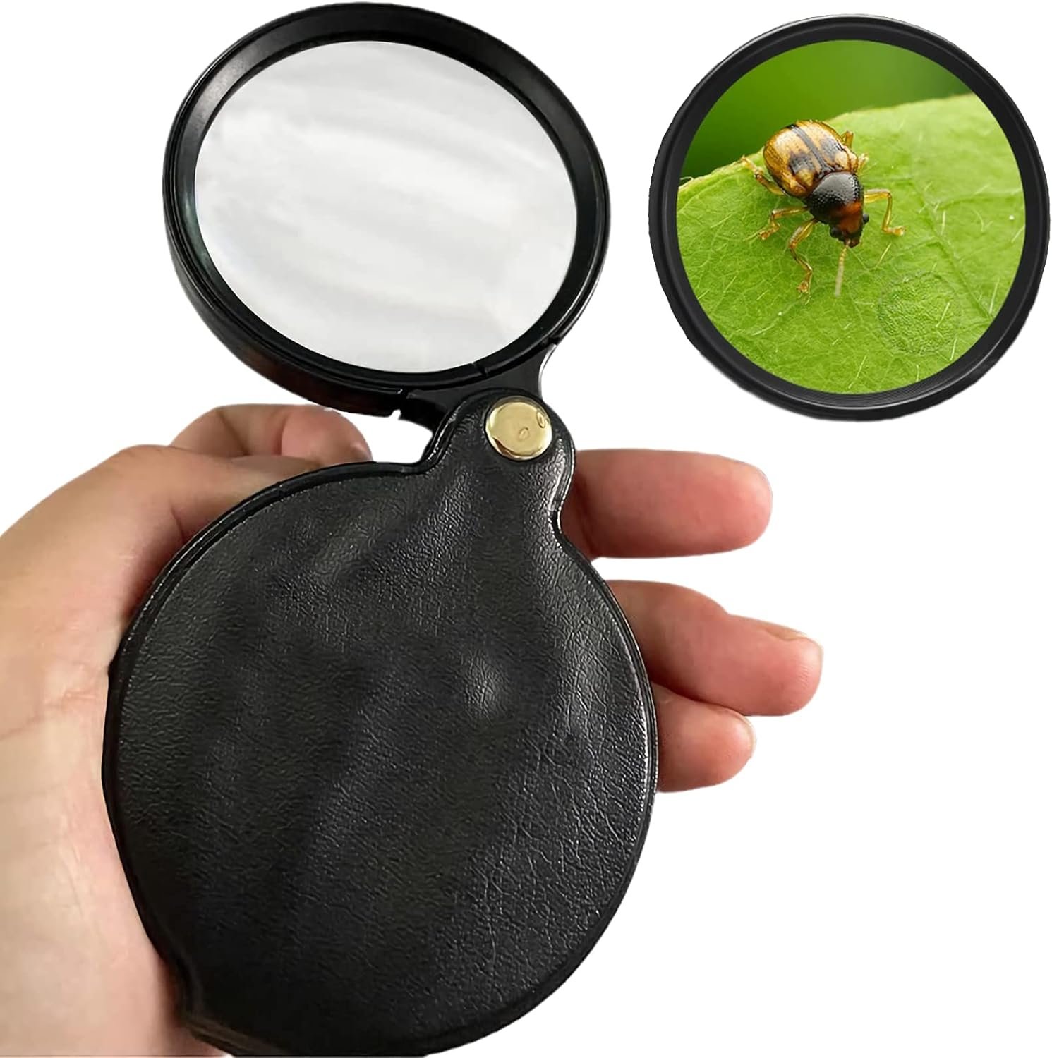 portable magnifying glasses