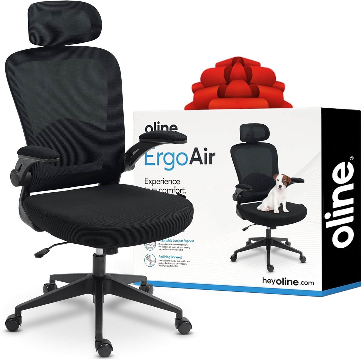 ergonomic office chairs