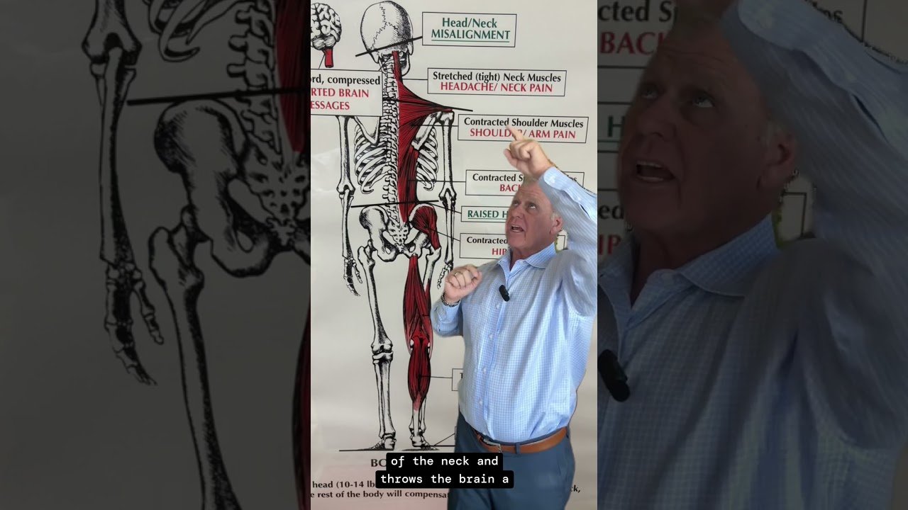 Chronic Back Pain Causes