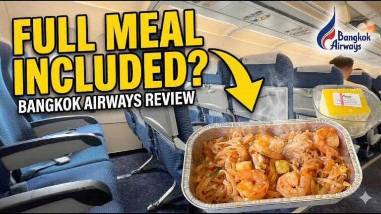 Airplane travel: Airline Reviews