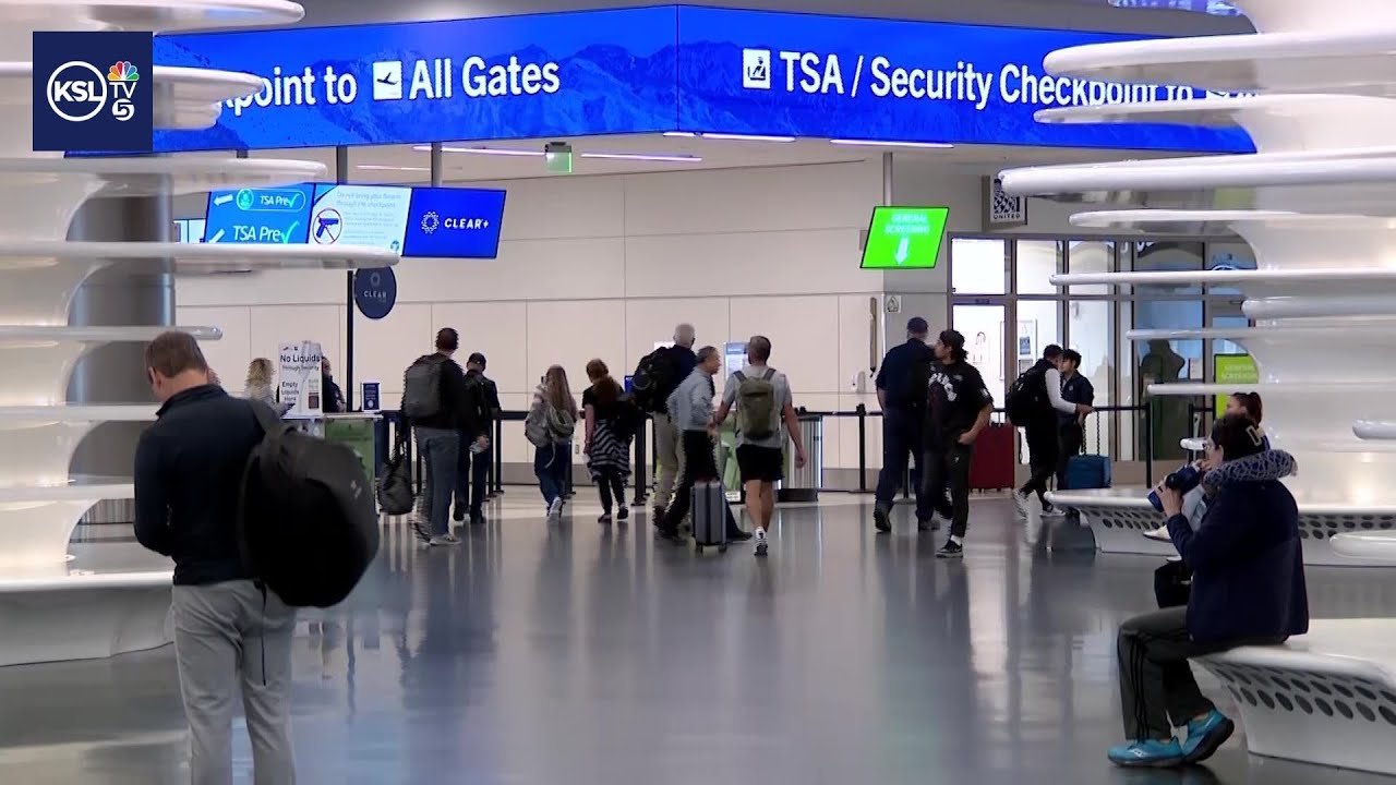 Airplane travel: Travel Insurance