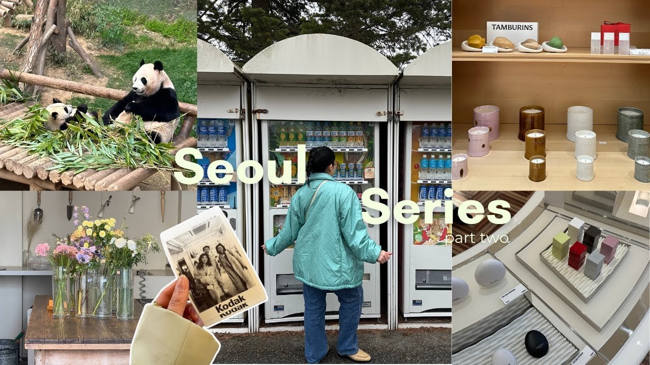 Travel and food series