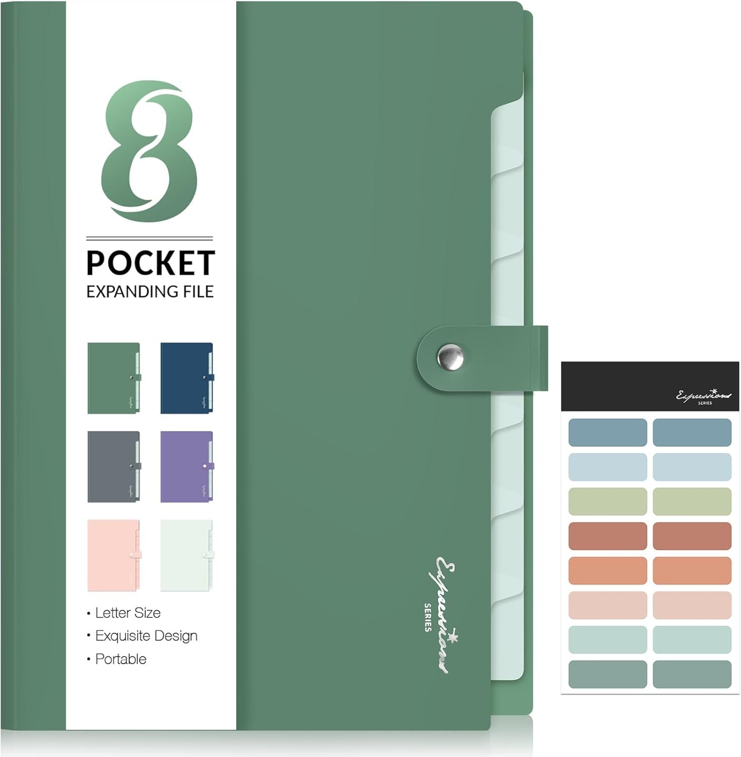 Travel document organizer