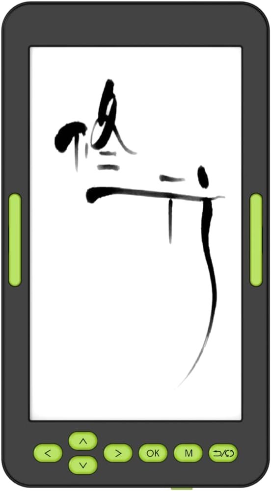 Kindle e-reader bundle