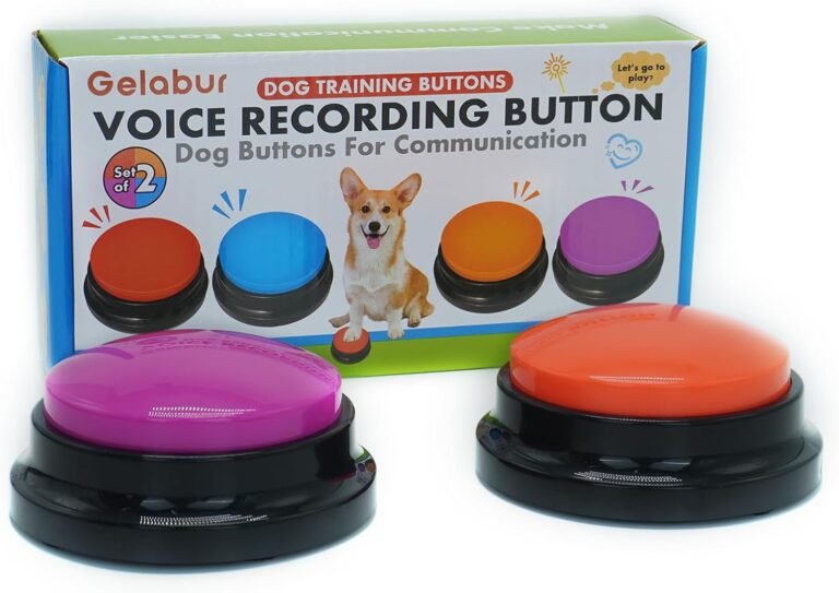interactive communication tools