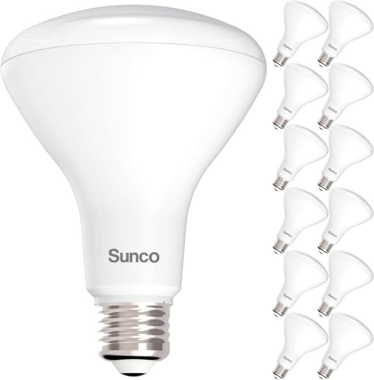 LED light bulbs