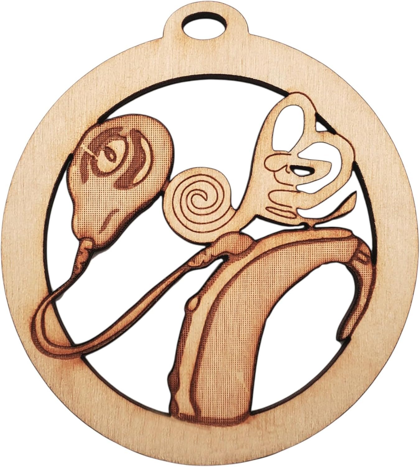 cochlear implant care kits