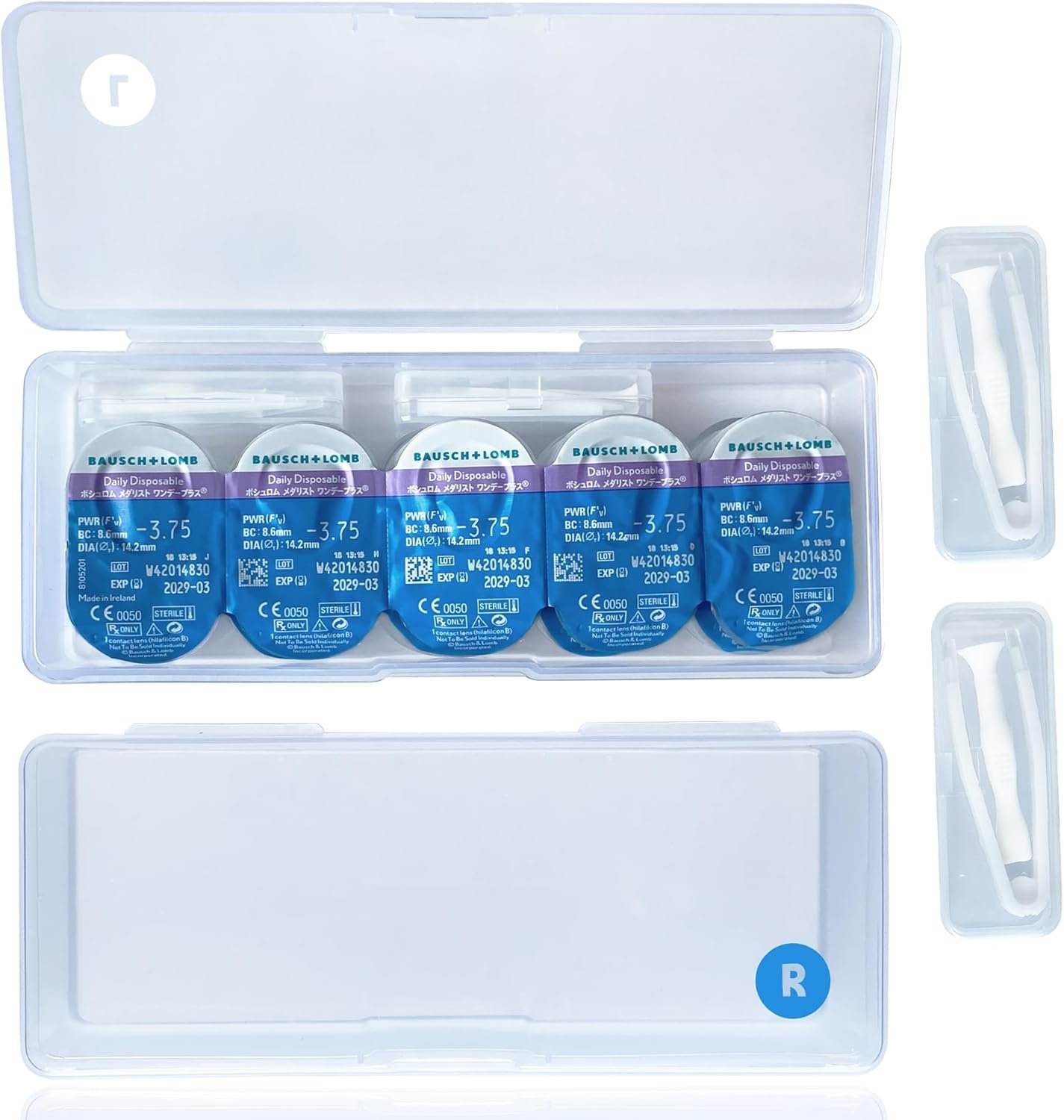 daily disposable contact lenses