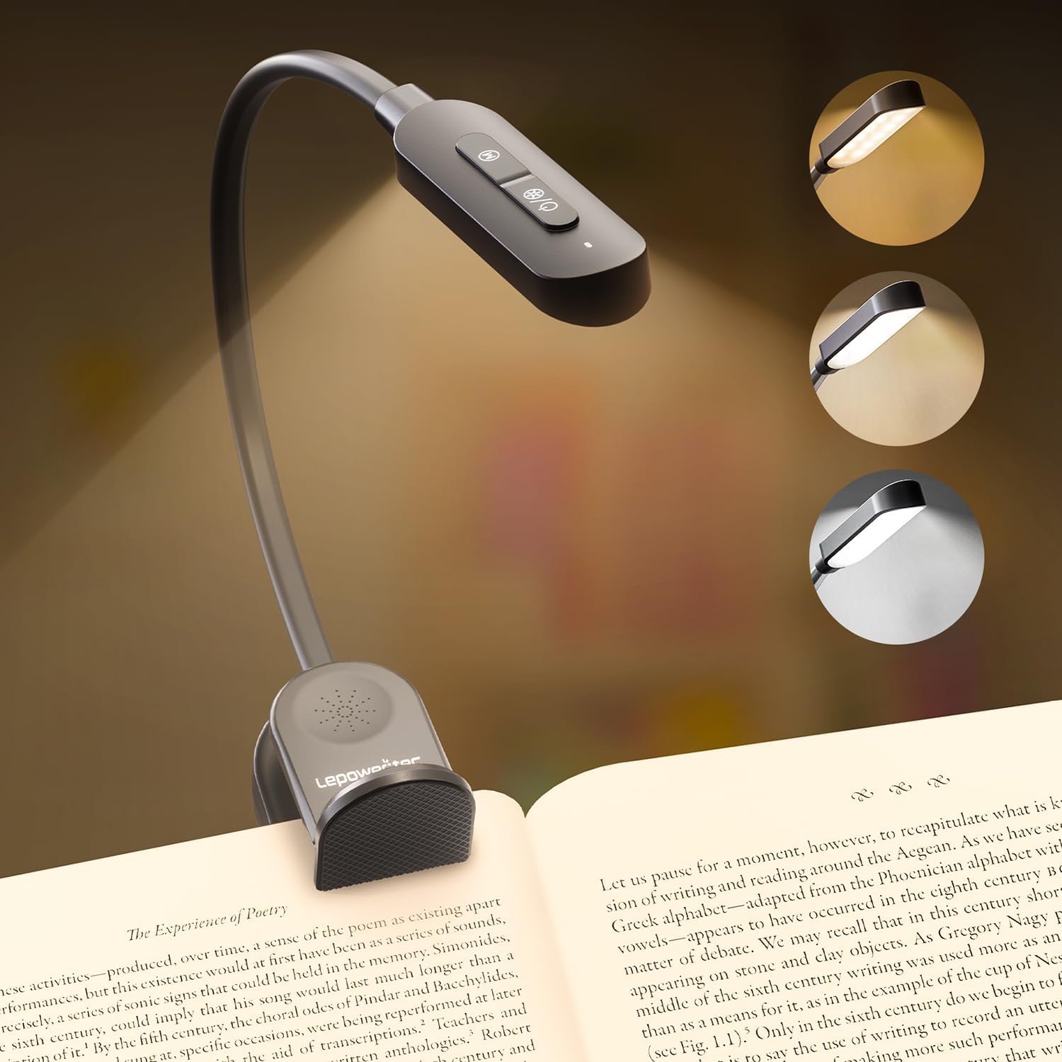 Kindle reading light