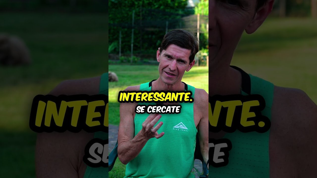 Affordable knee compression sleeves