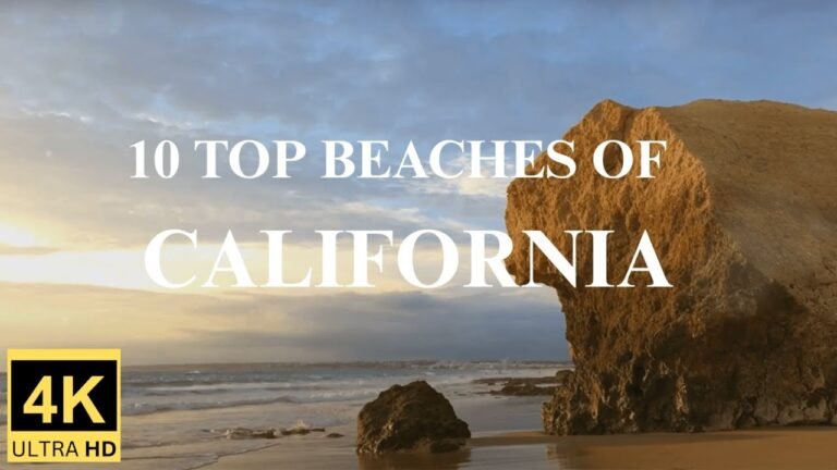 Discover San Francisco