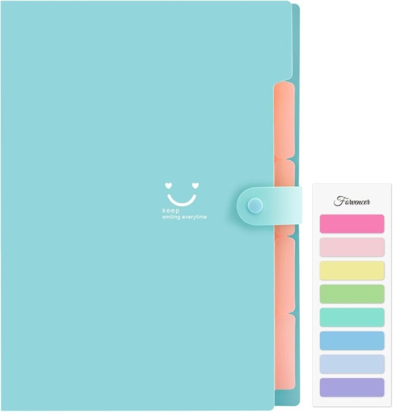 Travel organizer for documents