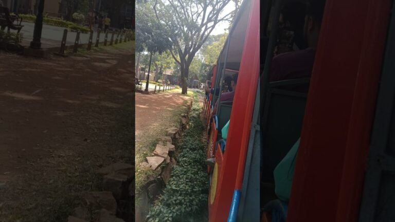 Train travel: Train Tours