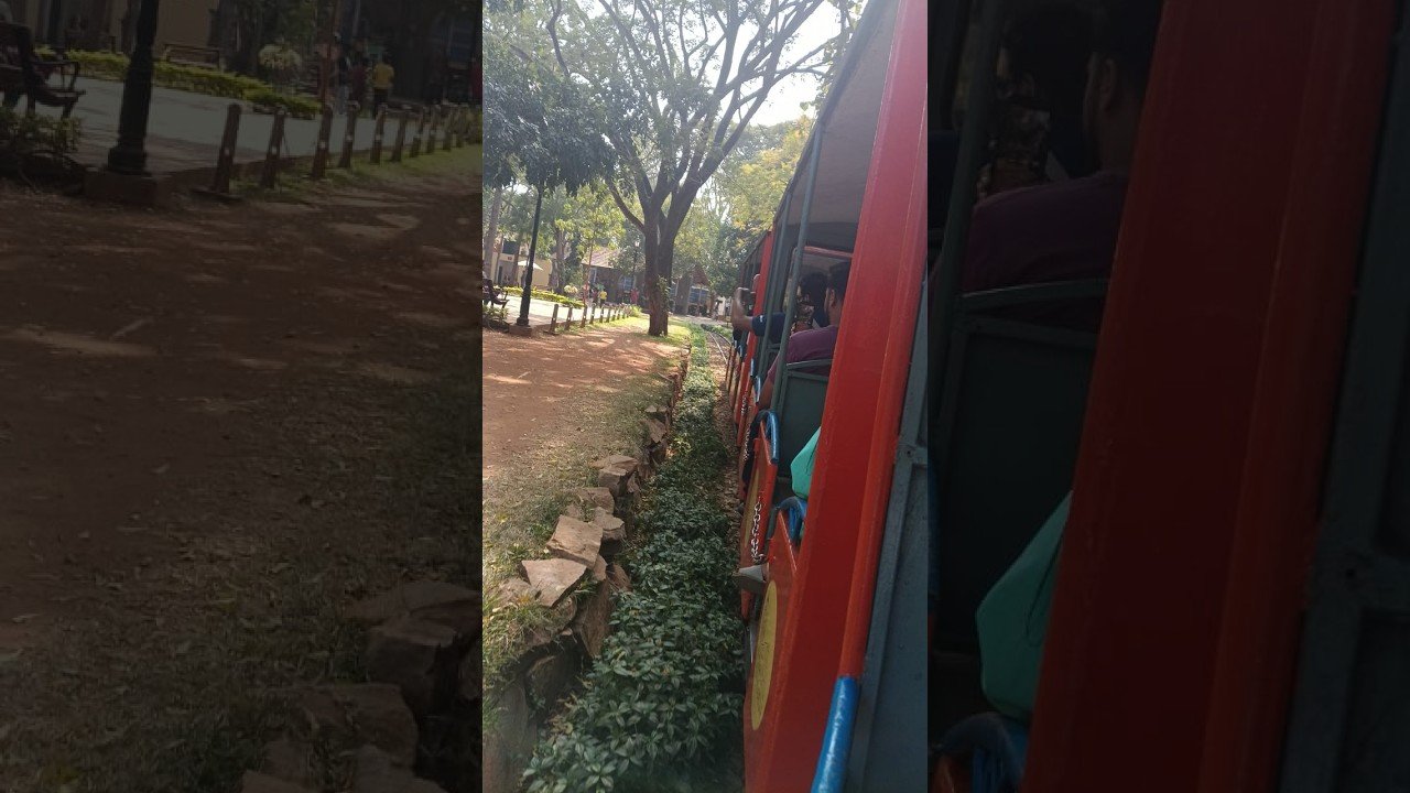 Train travel: Train Tours