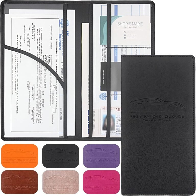 Travel document organizer