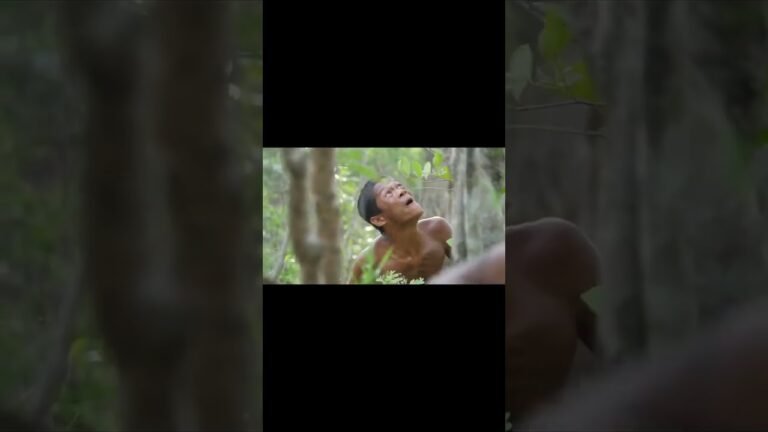 Travel and food Cooking and travel shows