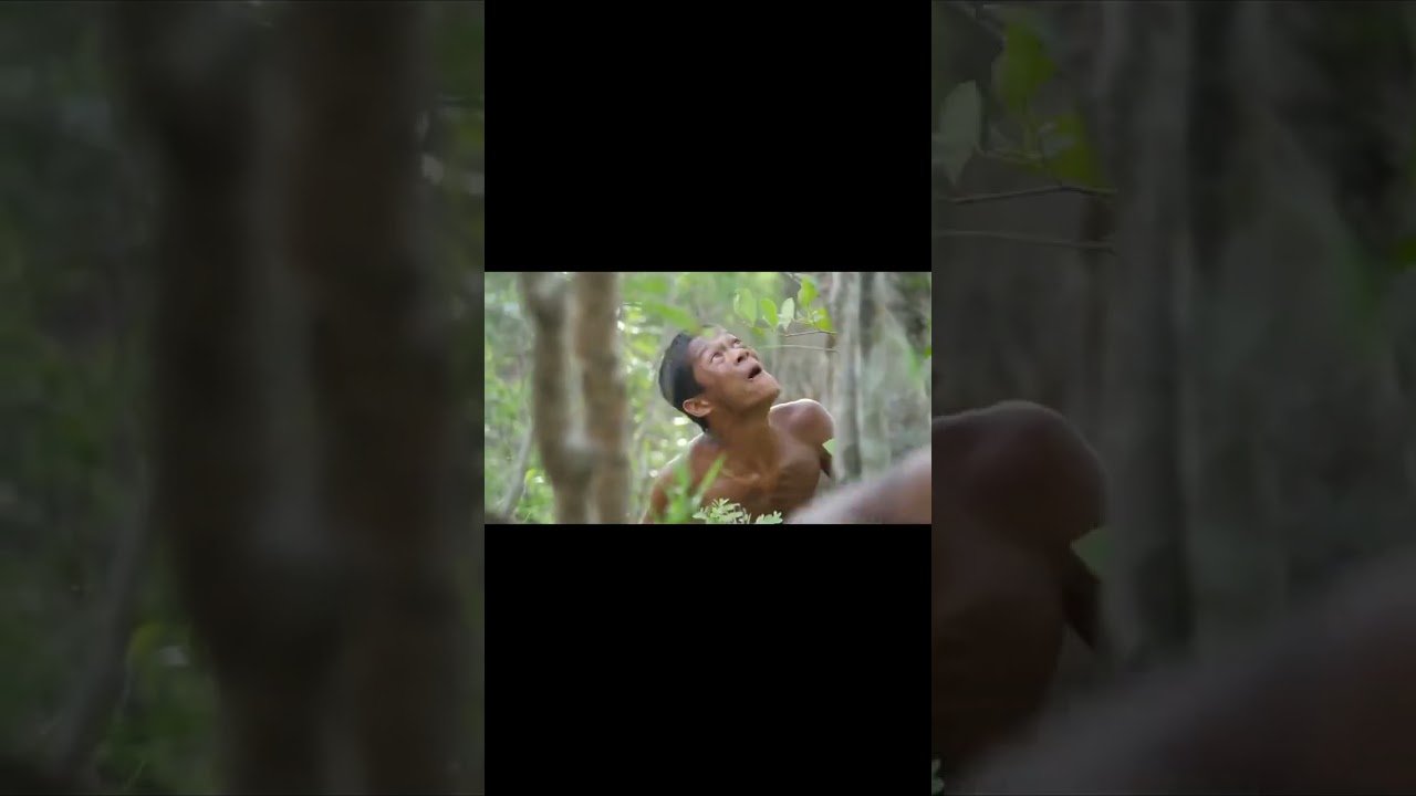 Travel and food Cooking and travel shows