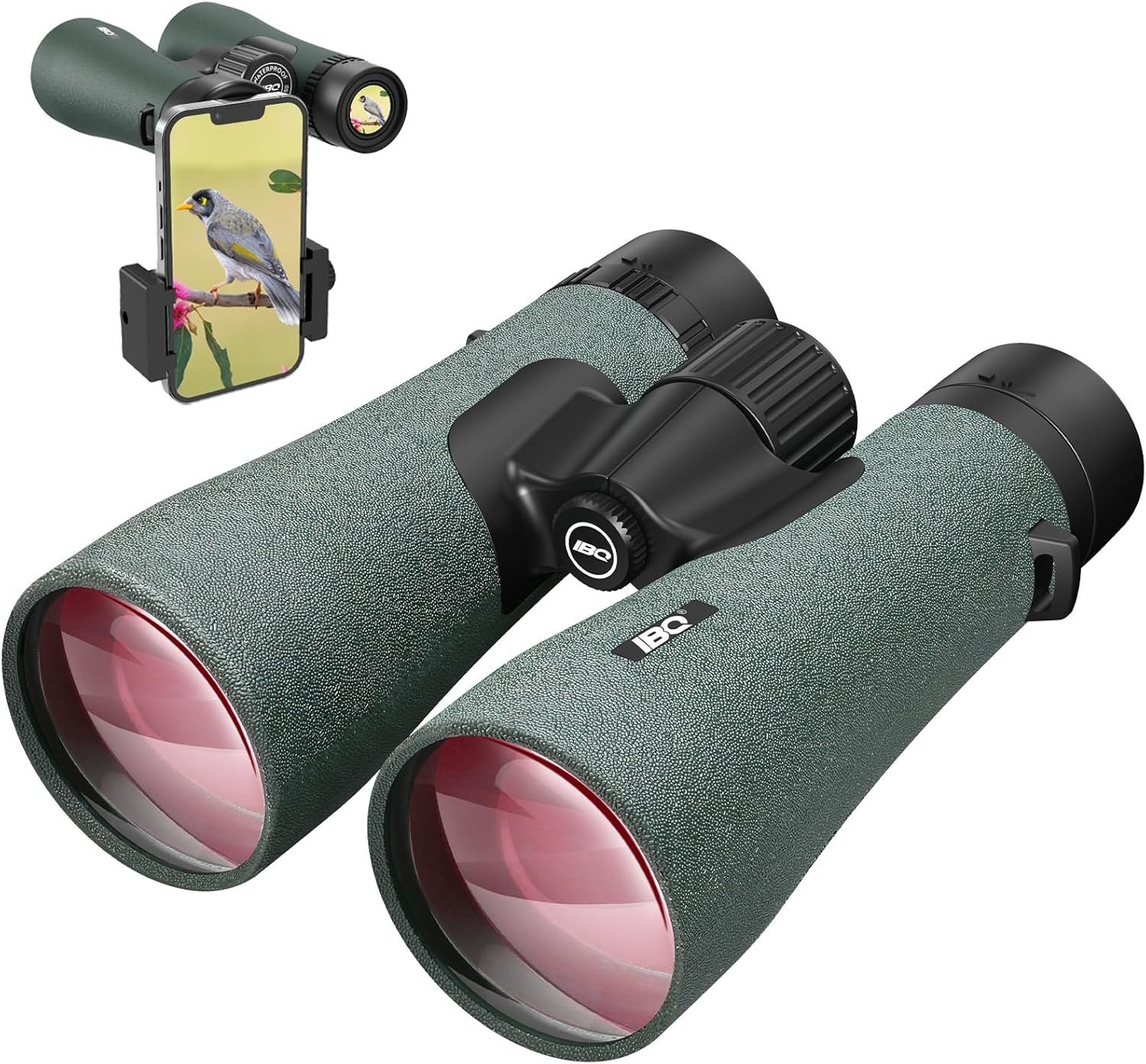 Binoculars for whale watching