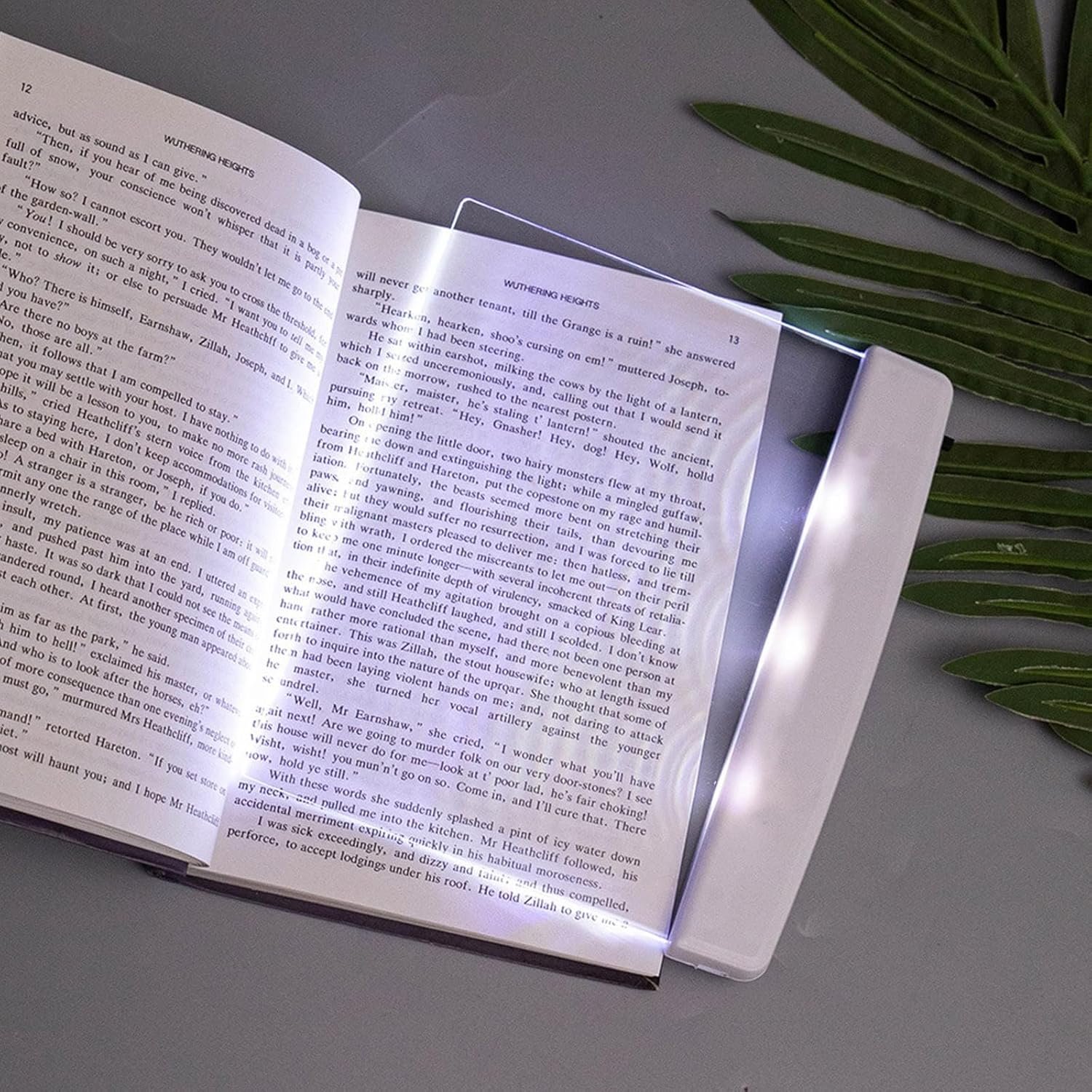 Kindle reading light